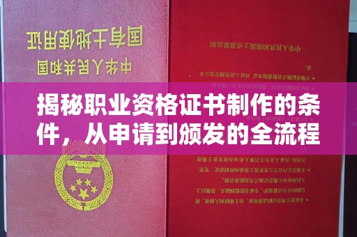 南城揭秘职业资格证书制作的条件，从申请到颁发的全流程解析