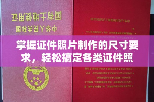 南城掌握证件照片制作的尺寸要求，轻松搞定各类证件照