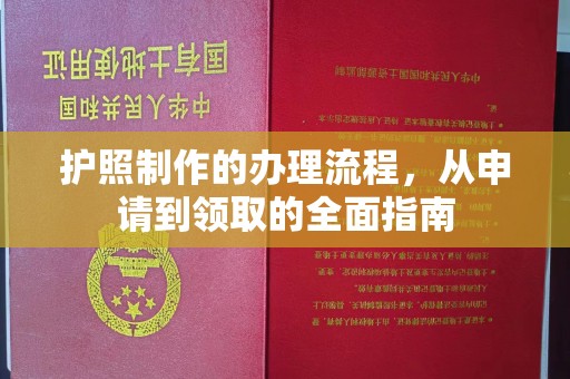 南城护照制作的办理流程，从申请到领取的全面指南