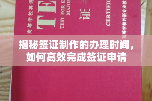 南城揭秘签证制作的办理时间，如何高效完成签证申请