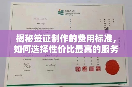 南城揭秘签证制作的费用标准，如何选择性价比最高的服务？