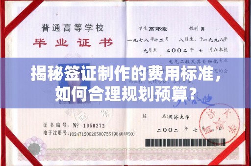 南城揭秘签证制作的费用标准，如何合理规划预算？