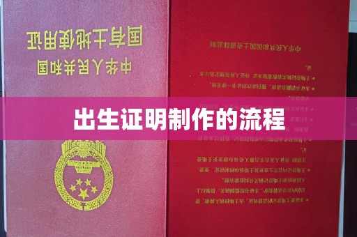 南城出生证明制作的流程