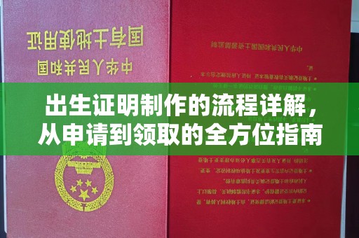 南城出生证明制作的流程详解，从申请到领取的全方位指南