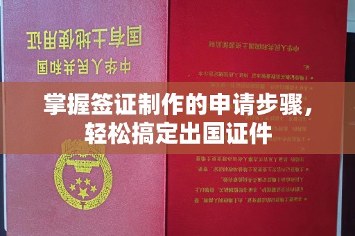 南城掌握签证制作的申请步骤，轻松搞定出国证件