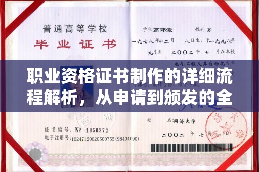 南城职业资格证书制作的详细流程解析，从申请到颁发的全方位指南