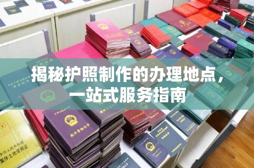 南城揭秘护照制作的办理地点，一站式服务指南