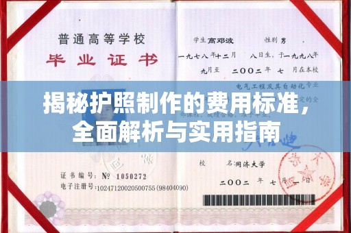 南城揭秘护照制作的费用标准，全面解析与实用指南