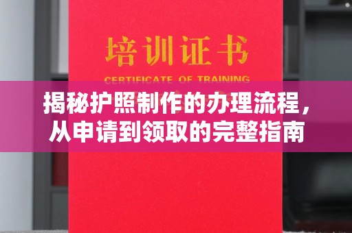 南城揭秘护照制作的办理流程，从申请到领取的完整指南