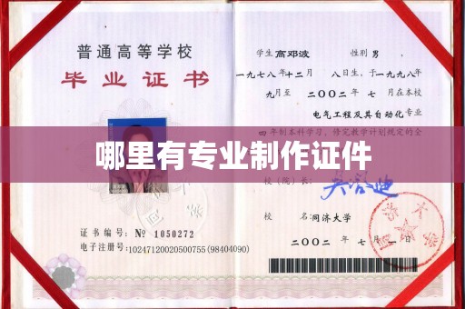 南城哪里有专业制作证件