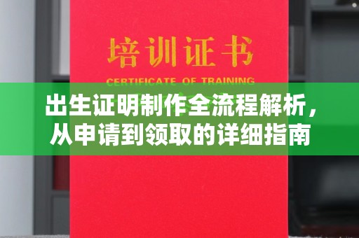 南城出生证明制作全流程解析，从申请到领取的详细指南