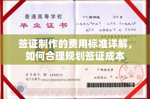 南城签证制作的费用标准详解，如何合理规划签证成本